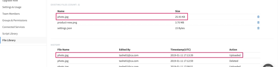 The File Library page view that a team owner can access, showing the photo.jpg file uploaded in the last step under the section Existing Files, and History