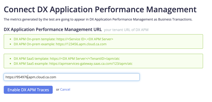 API Monitoring CA APM Integration page, showing the textbox where the user has to add their CA APM instance URL from the previous steps