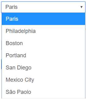 a generic country selection menu with Paris selected