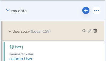 A data parameter in a data entity